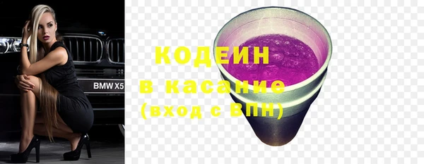 дживик Арсеньев